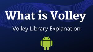 what is volley