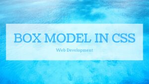 Read more about the article Box Model in CSS | Web Development