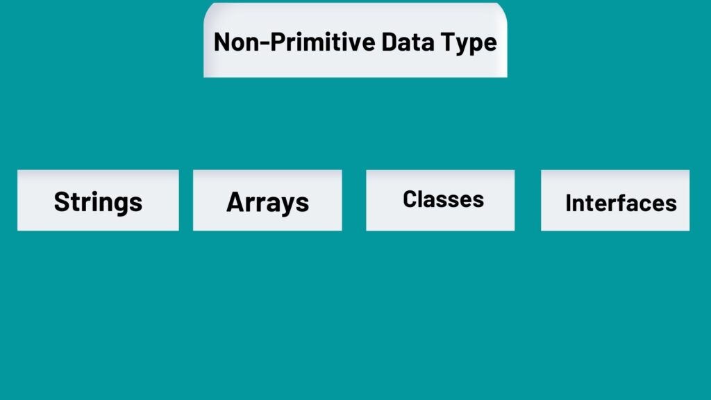 Non-Primitive Data Types